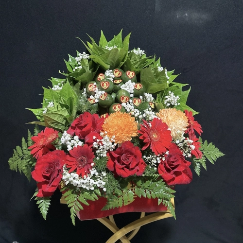 Mẫu 24
