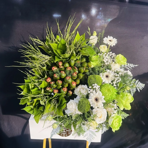 Mẫu 23