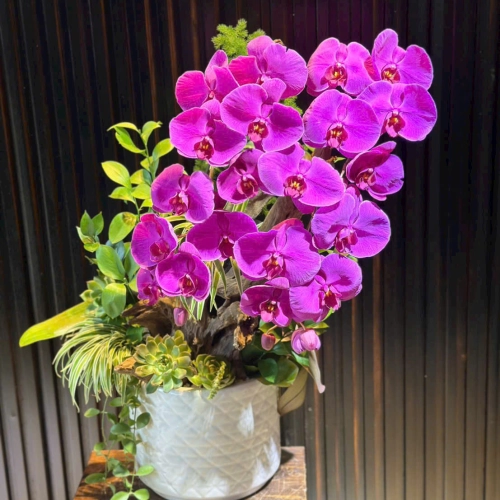 Lan Hồ Điệp 02 